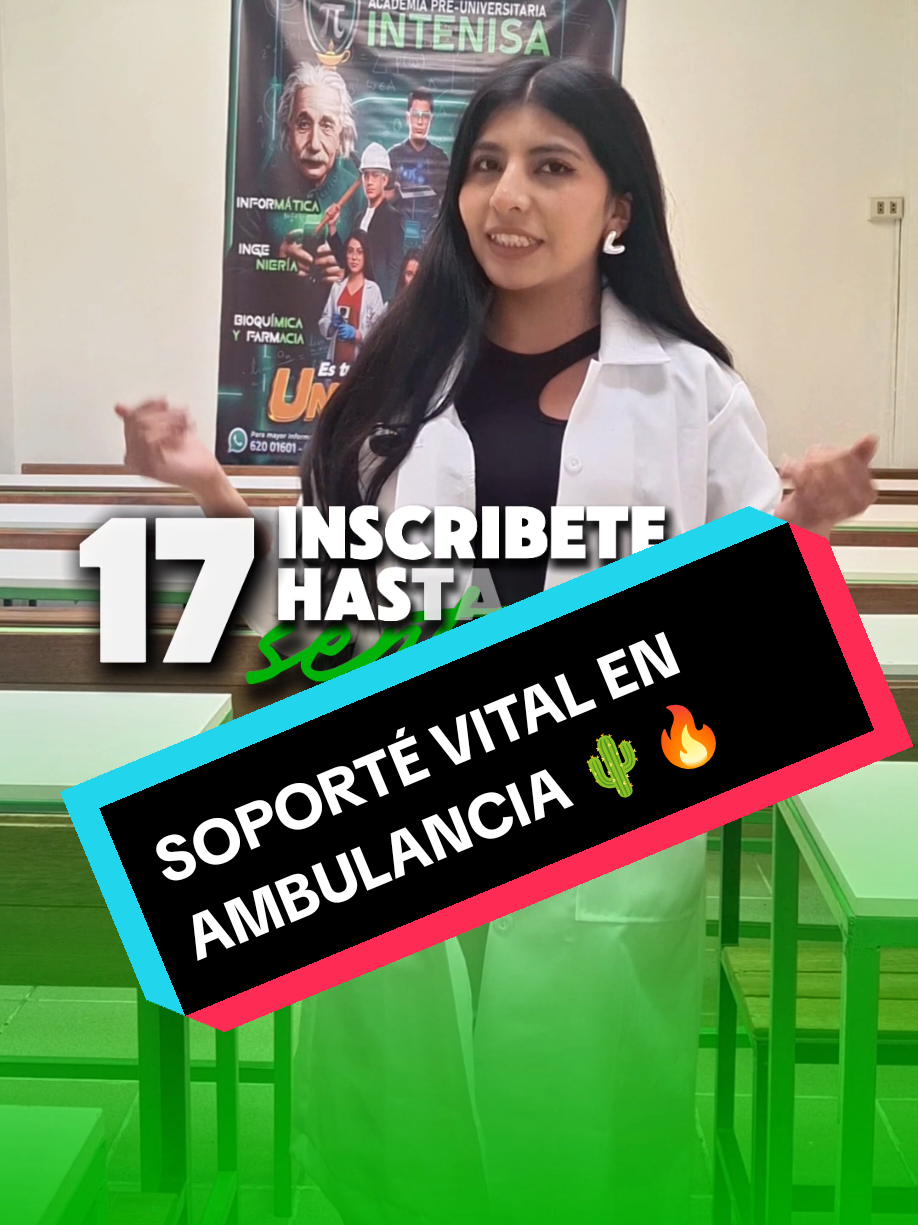 @INTENISA SRL