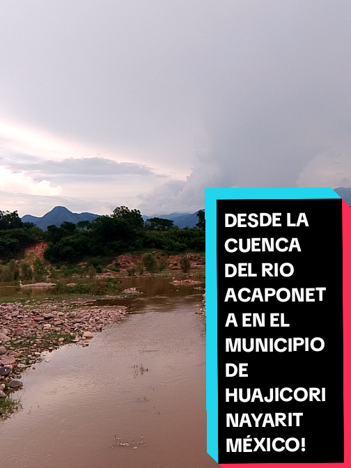 @Eliseo López