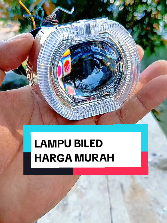 @yunfa lovers