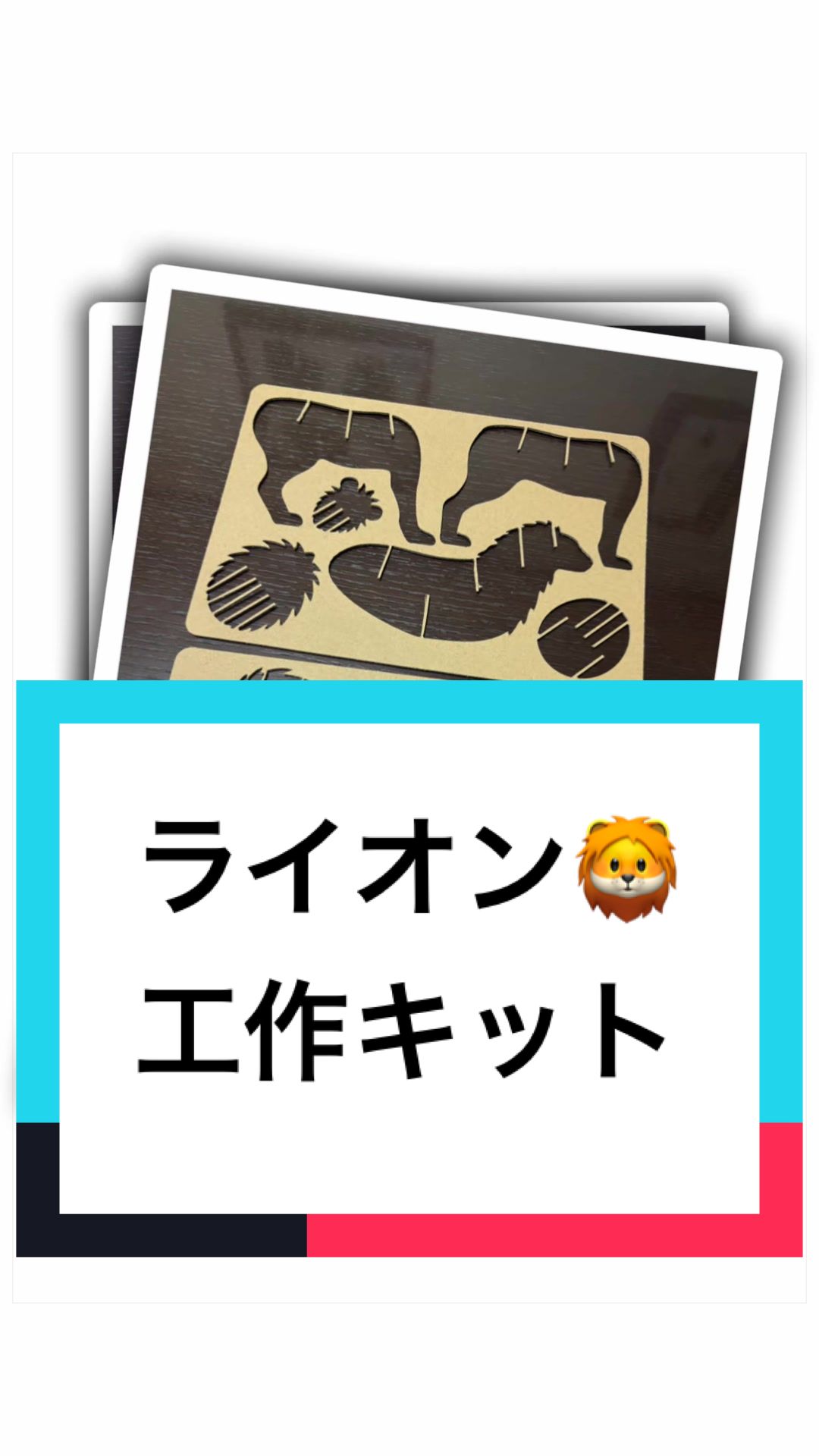 @ダンボール王子🌏♾️🐦🔥