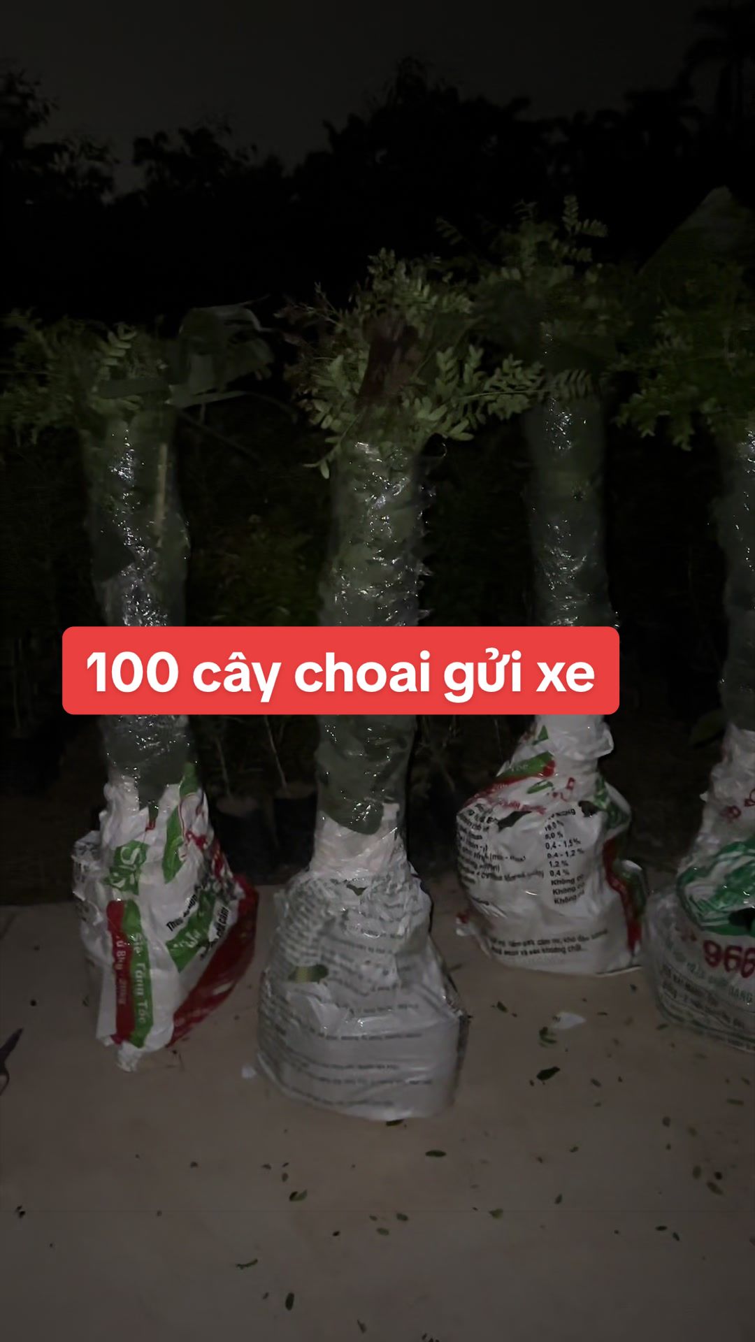 @Nhà Vườn Vũ Mai