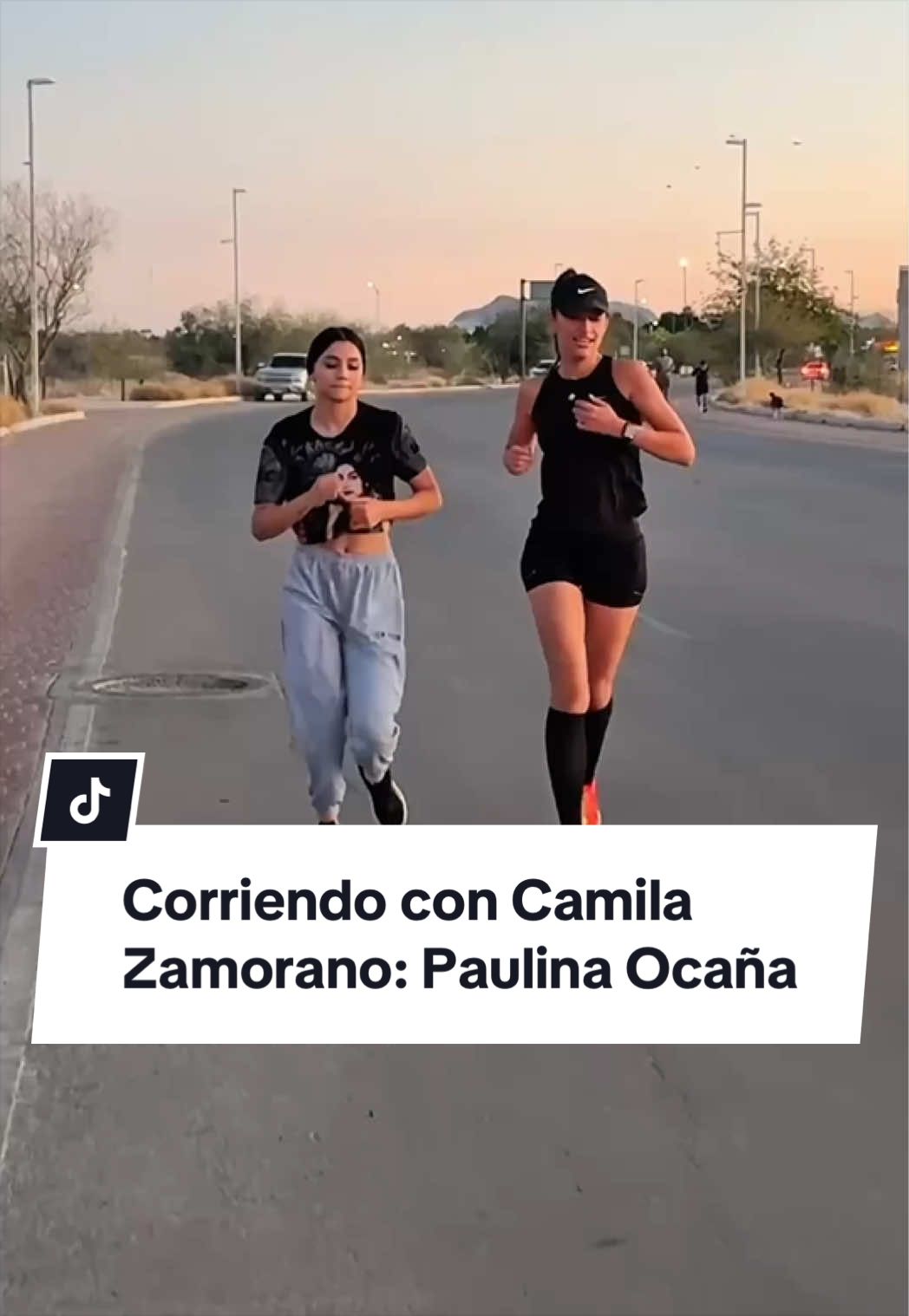 @Paulina Ocaña Encinas