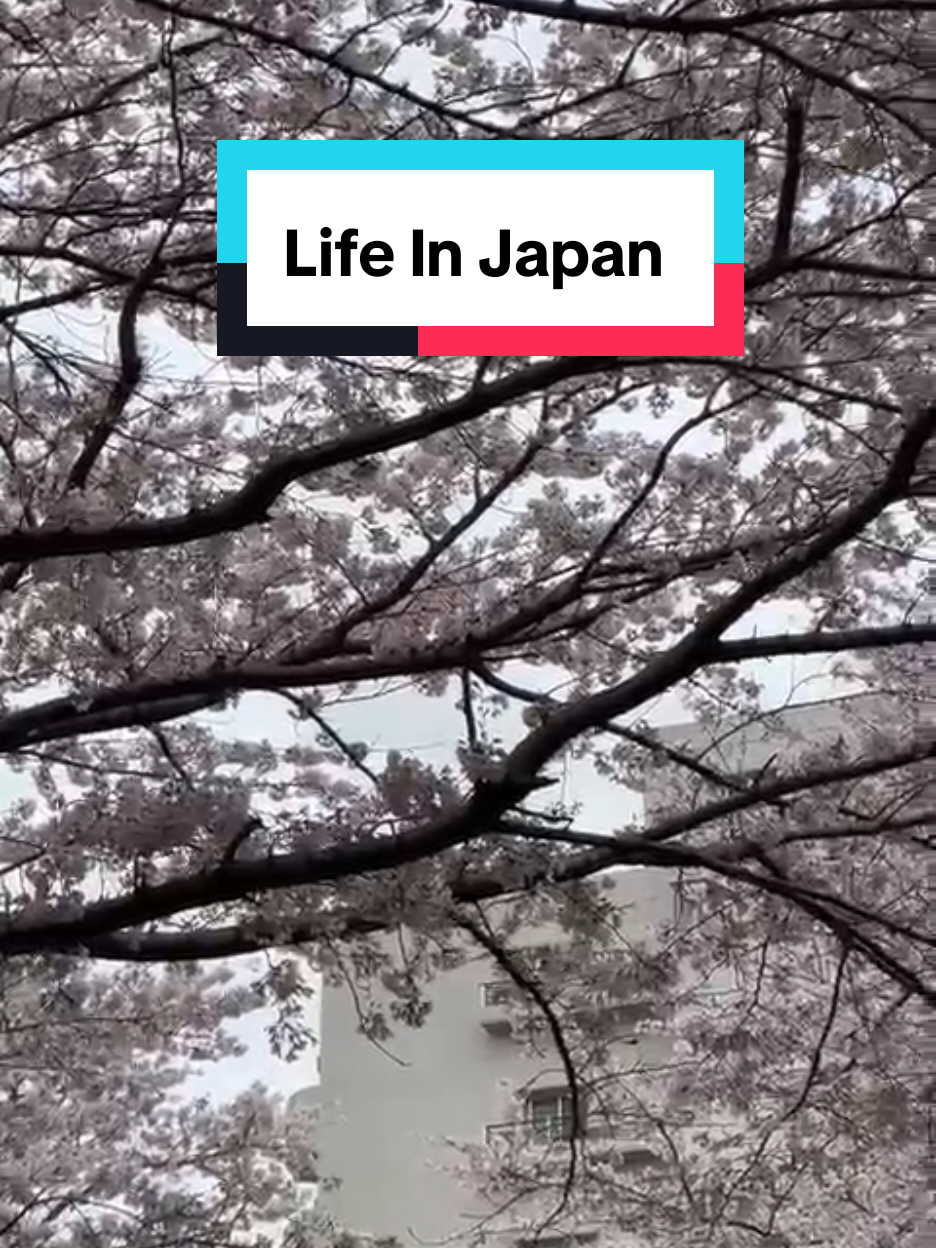 @Solo_traveler