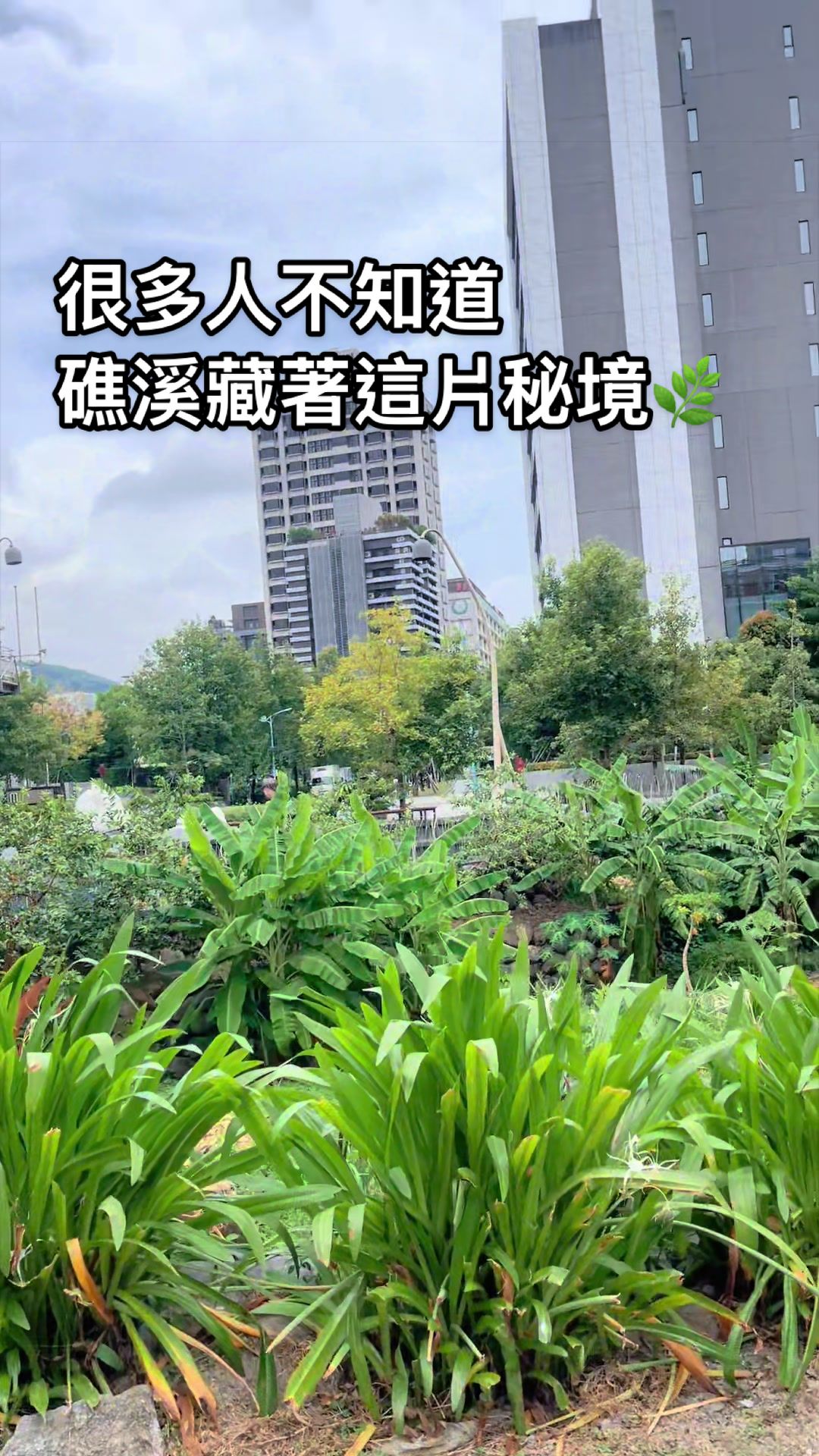 @Hans Lin