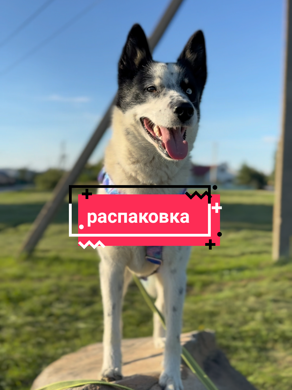 @Калыван