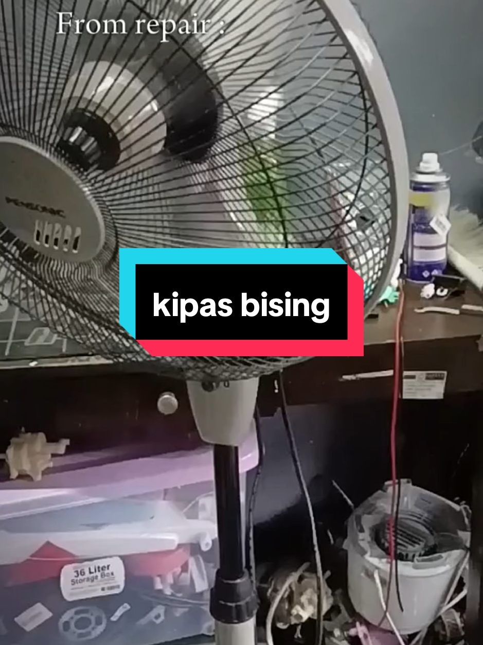 @CEO OF KIPAS (ALIFF)