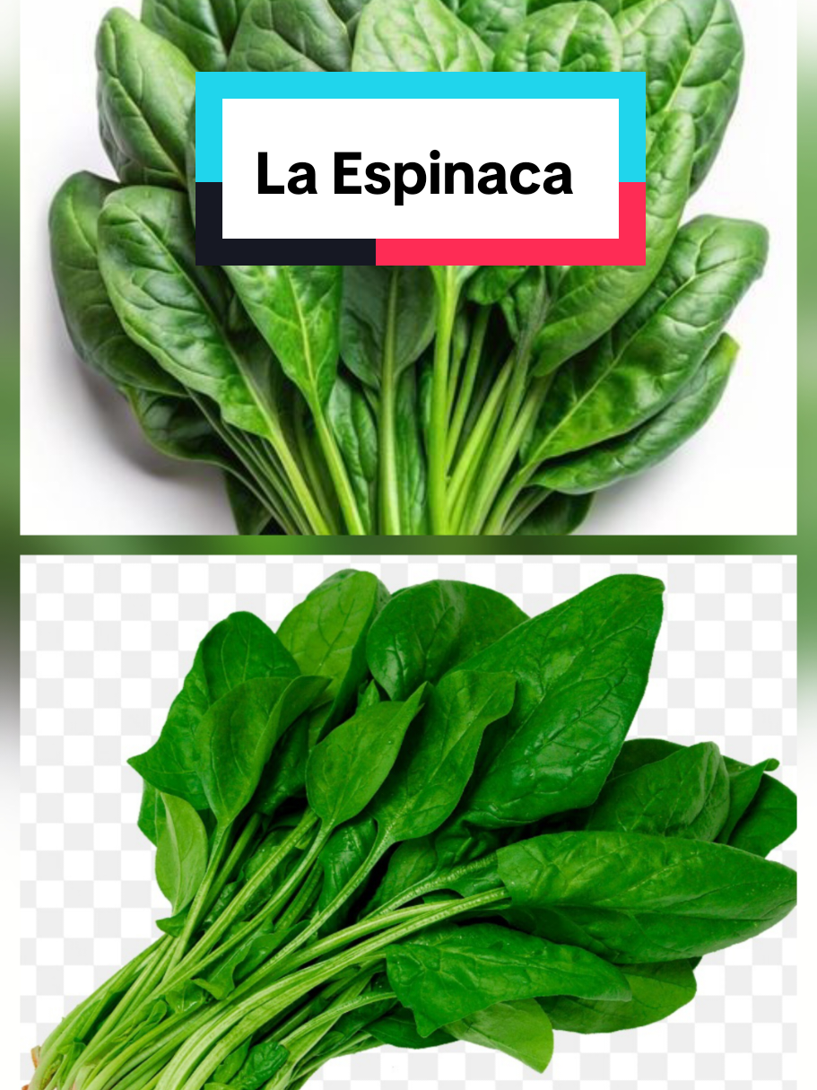 @𝐉𝐨𝐬𝐲