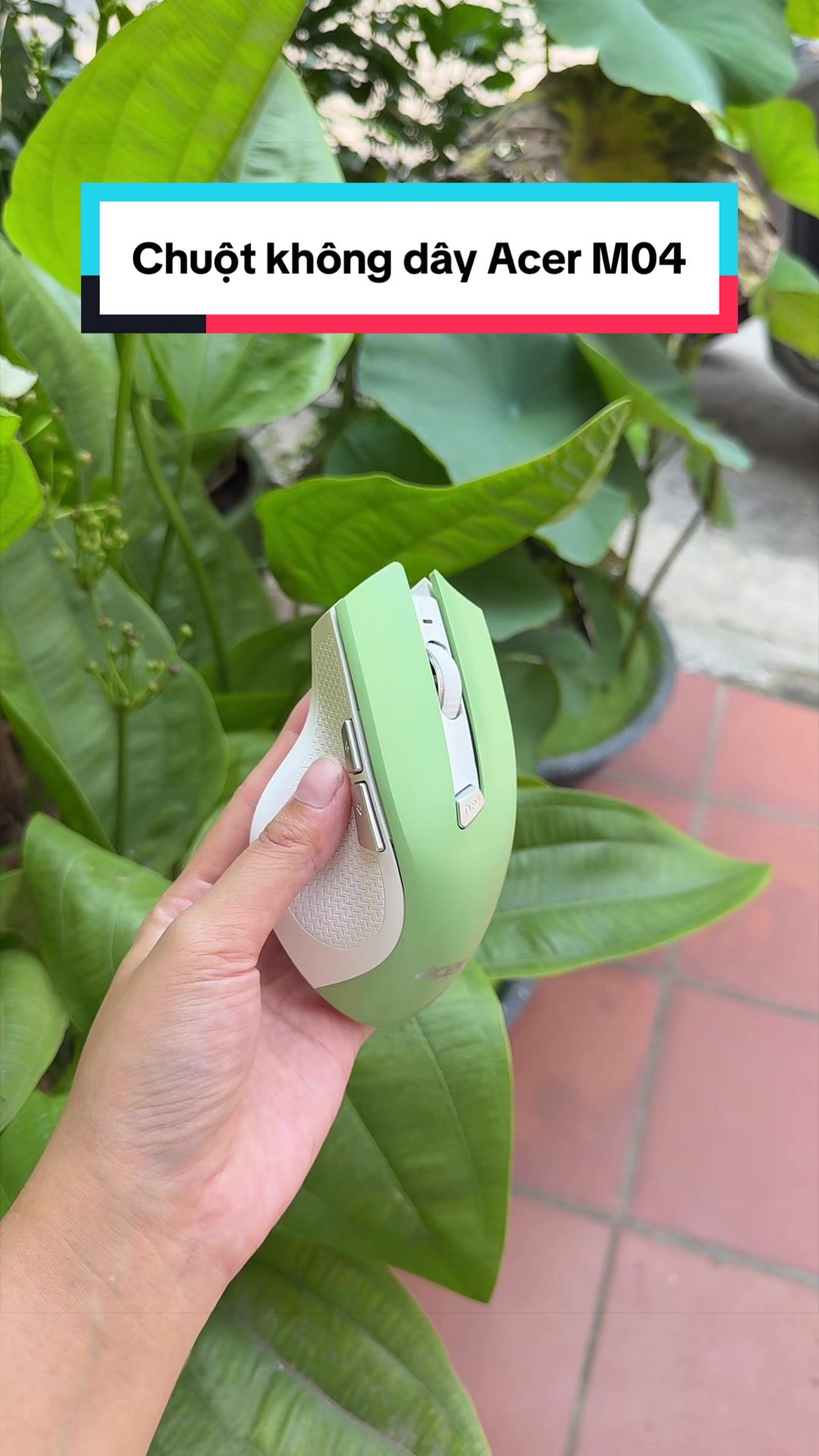 @Tuấn Bình Thường