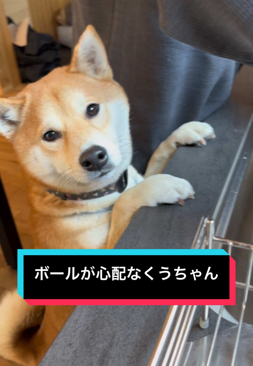 @てんくう