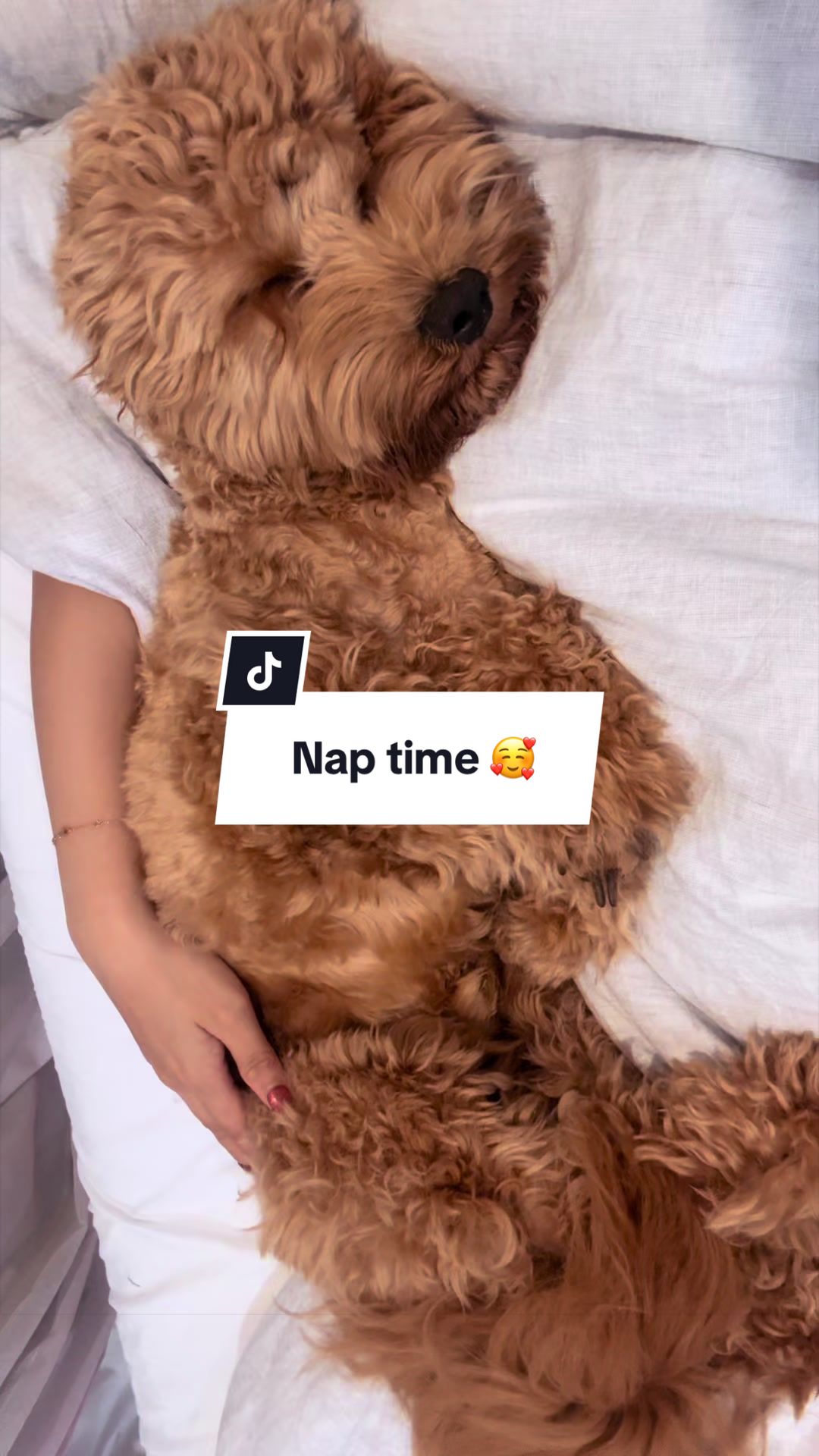 @Narlee’s Funsies🧸