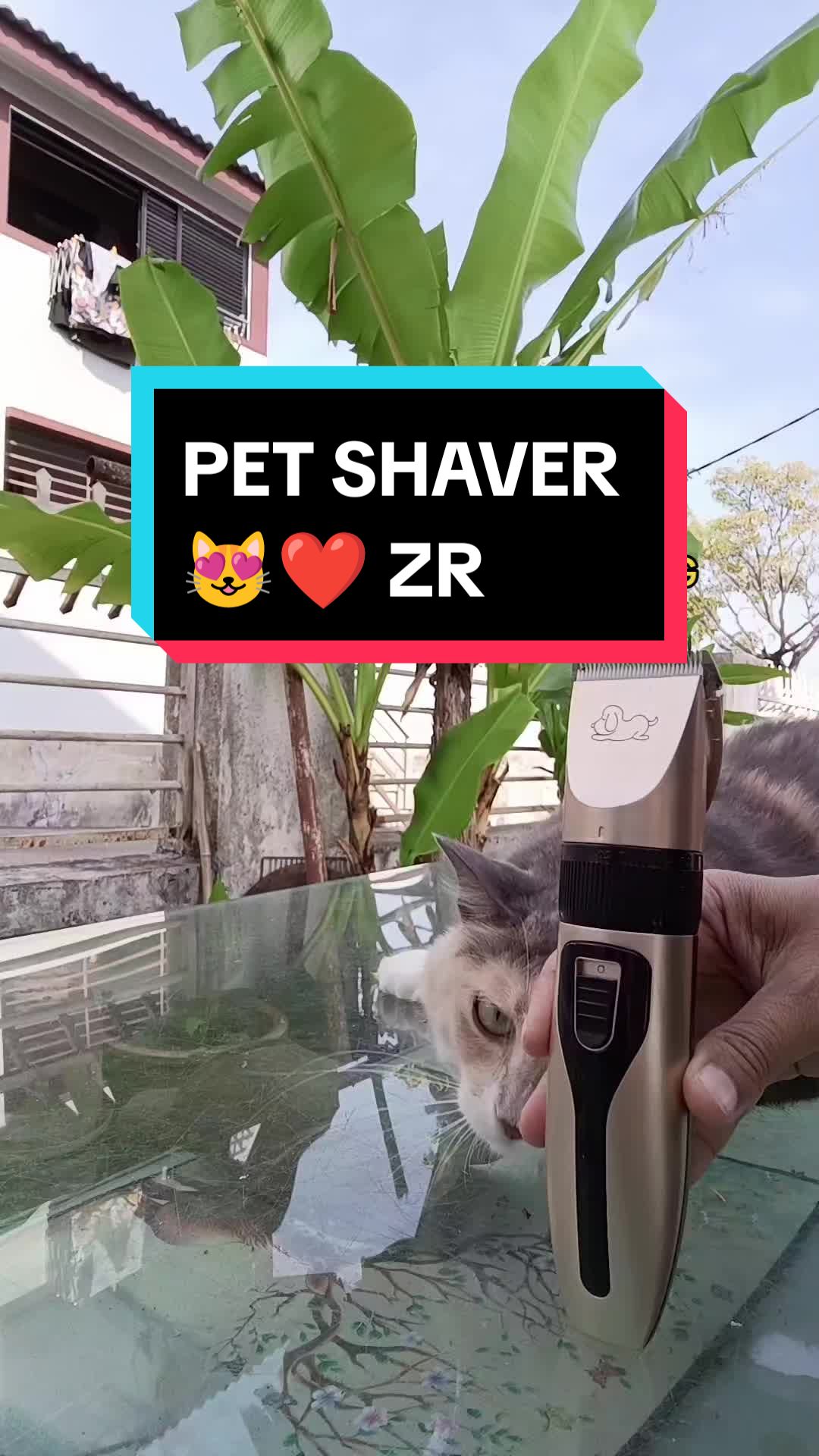 @ZR ๐ฒ๐พ