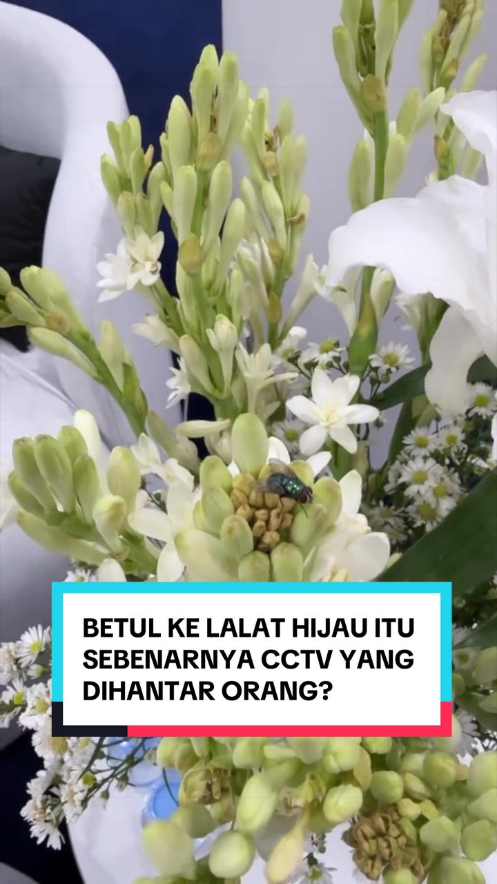 @Haliza Maysuri