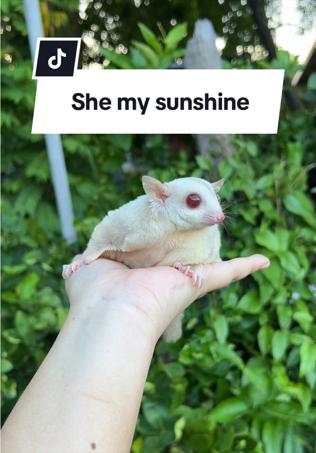 @anniezwoo