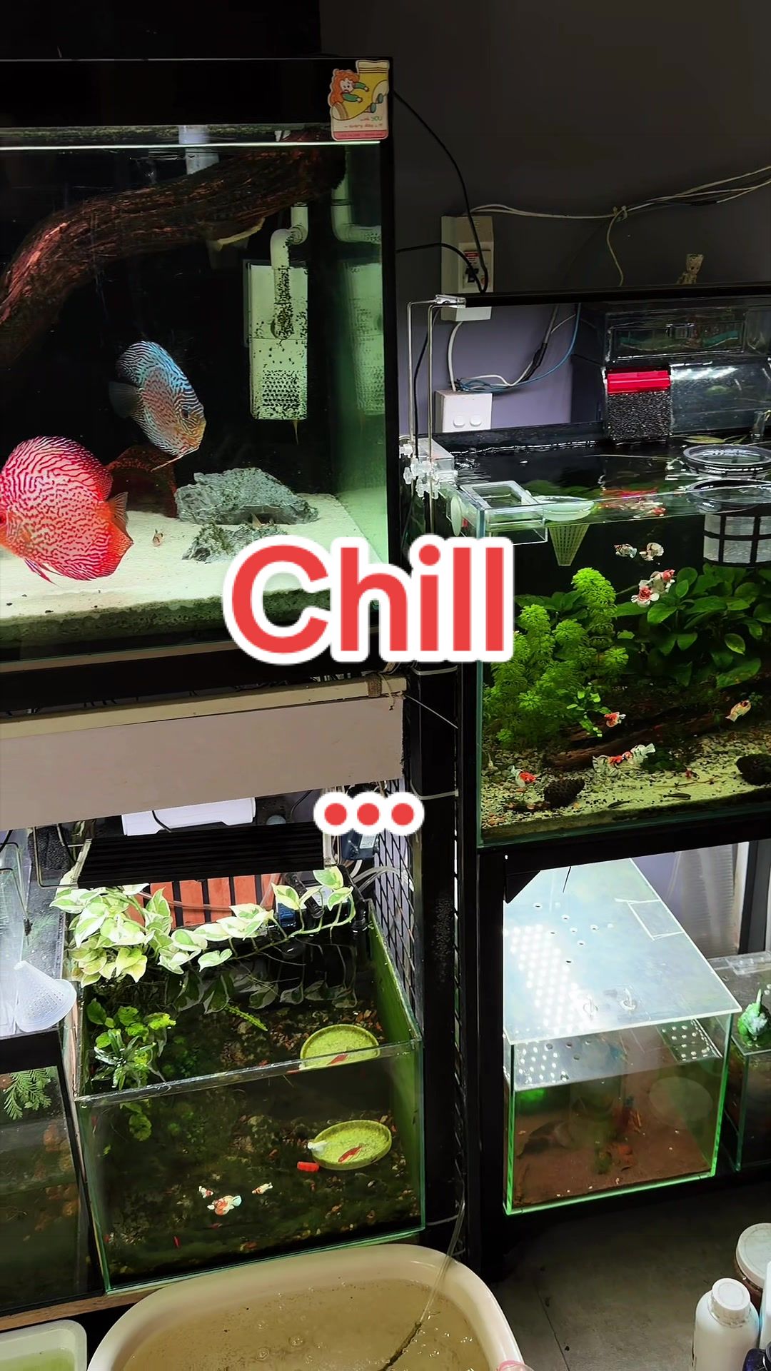 @Simple Tank
