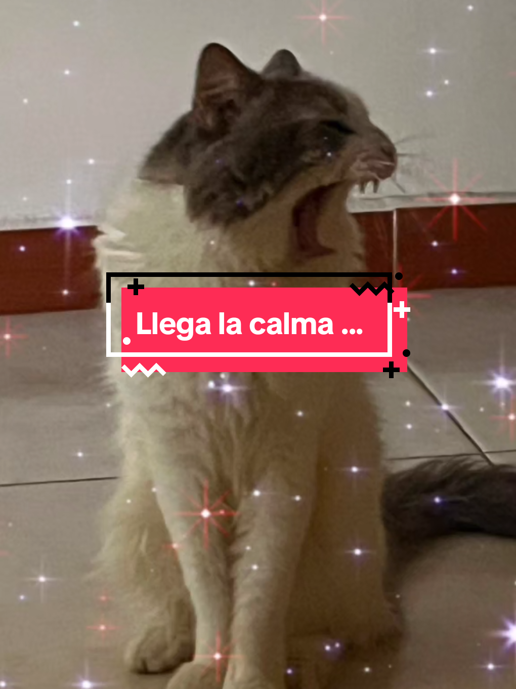 @Quitú333