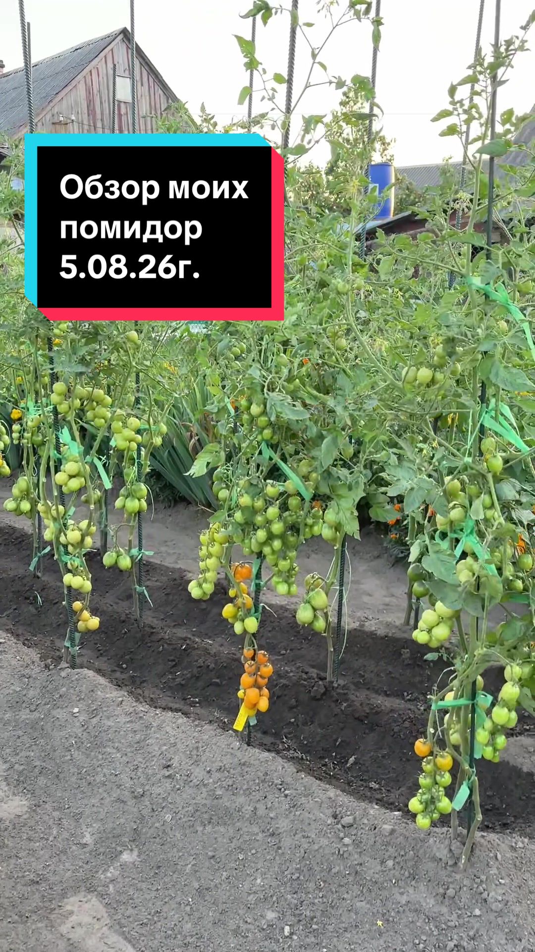@🌿𝓐𝓷𝓲𝓷𝓪 𝓭𝓪𝓬𝓱𝓪🌿