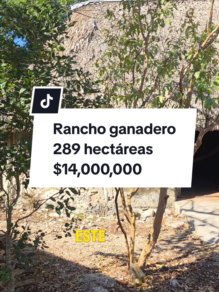 @Jose Chein - Bienes Raices
