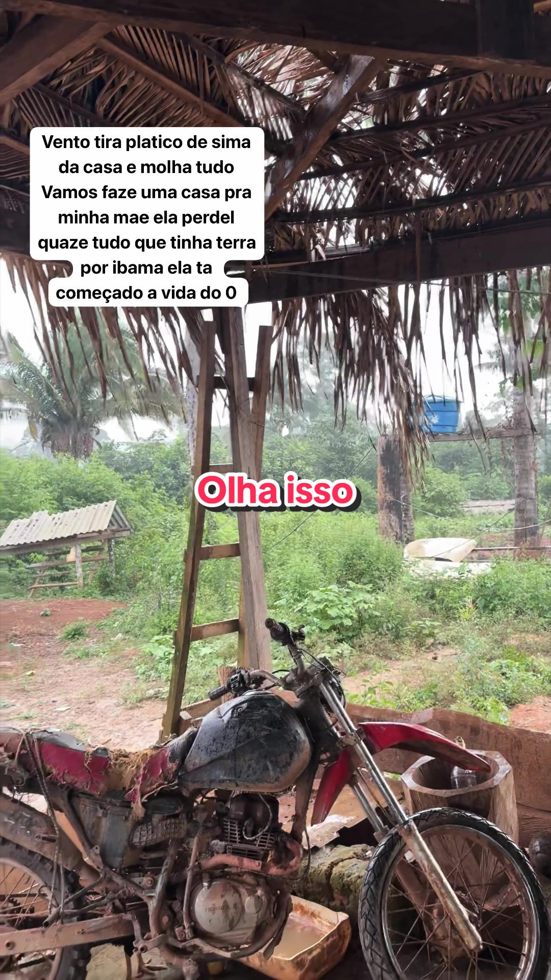 @Z&eacute; da mazona