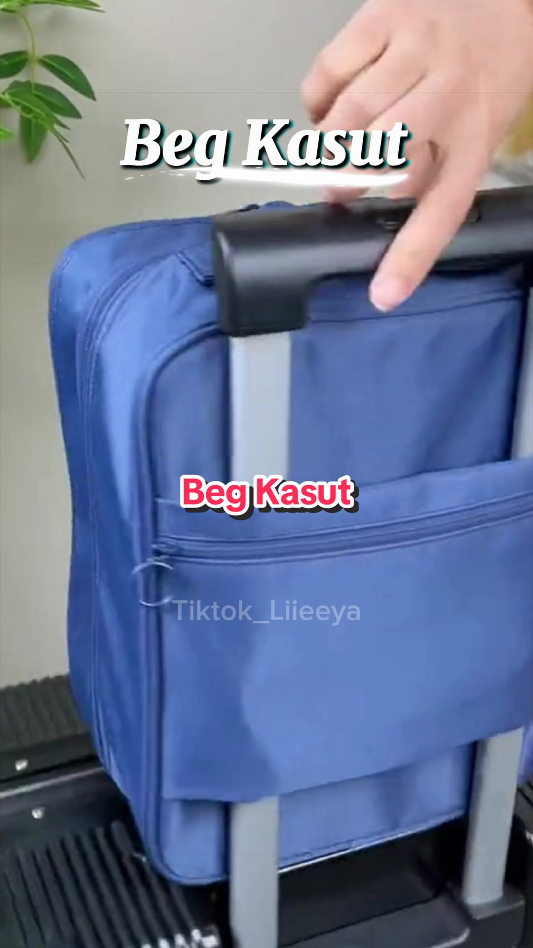 @Liya