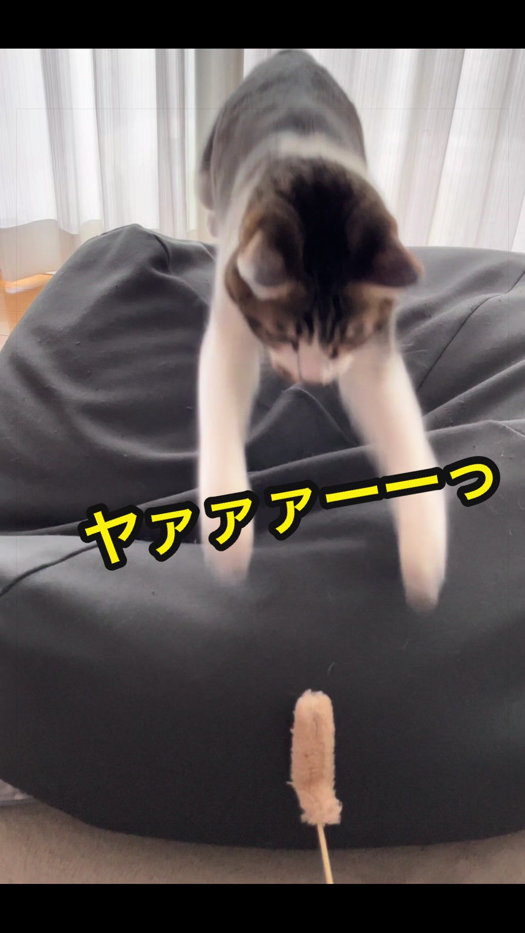 @ねこまみれ