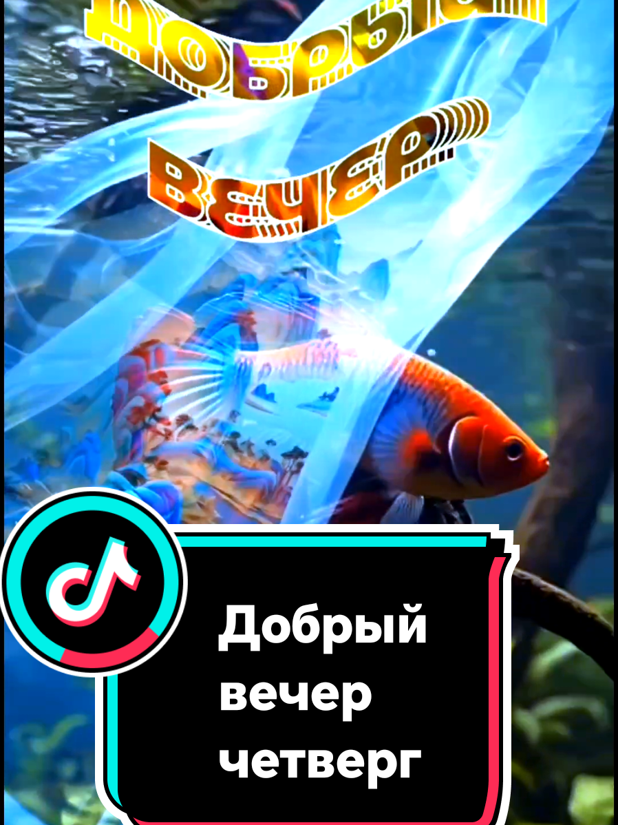 @꧁༺ 𝓛𝓮𝓷𝓸𝓬𝓱𝓴𝓪 ༻꧂