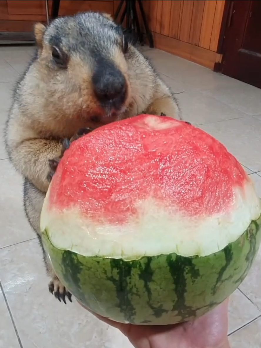 @YêuYêu