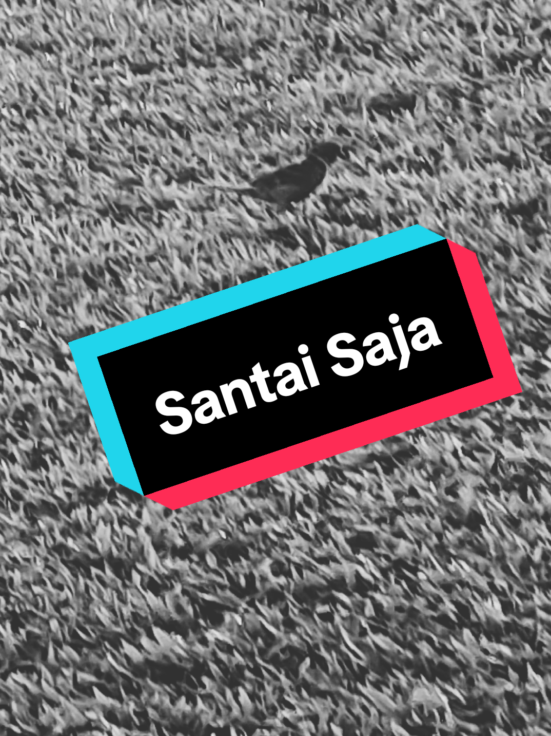 @Iskatambula