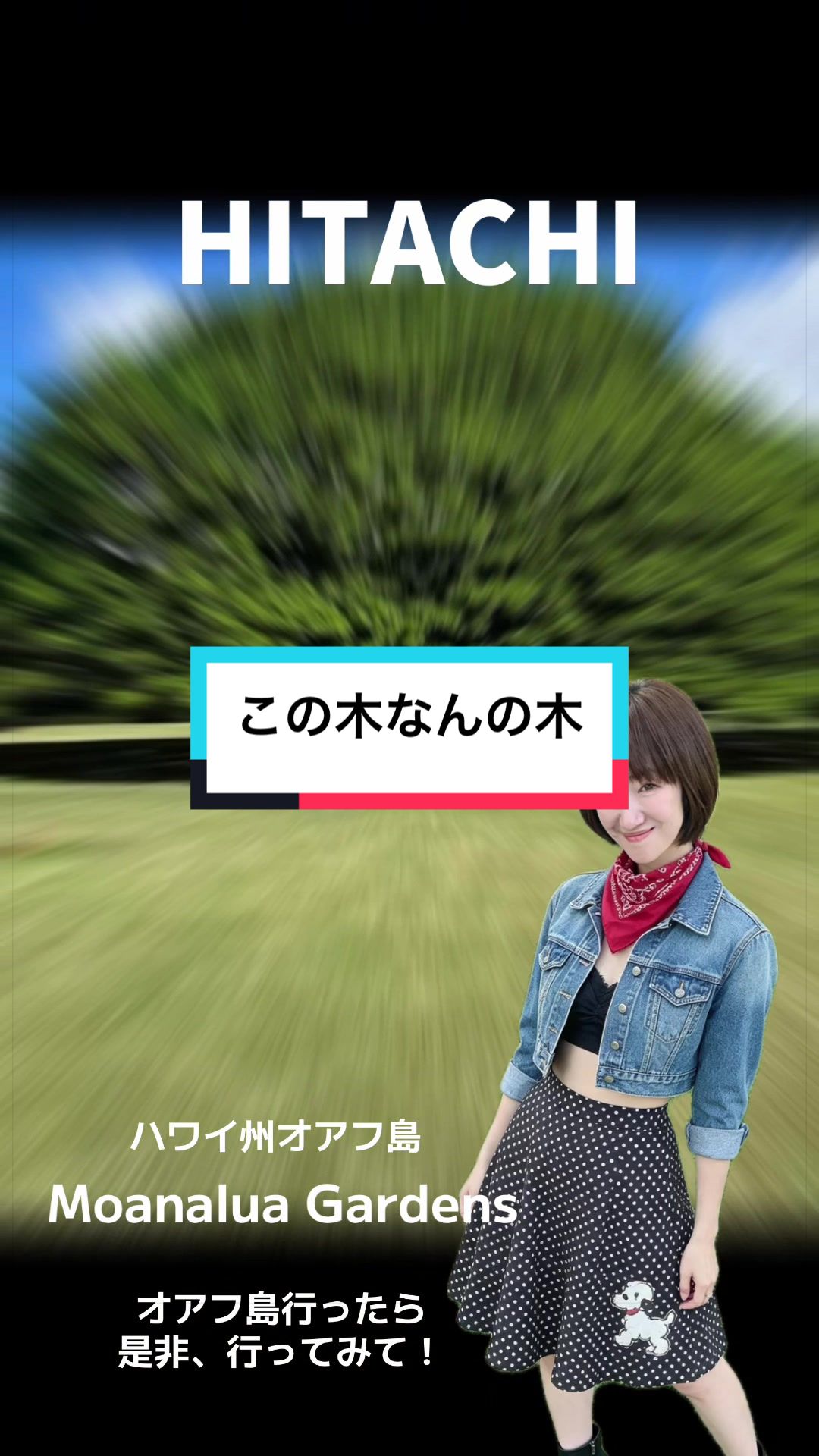 @YA-MAN_0810