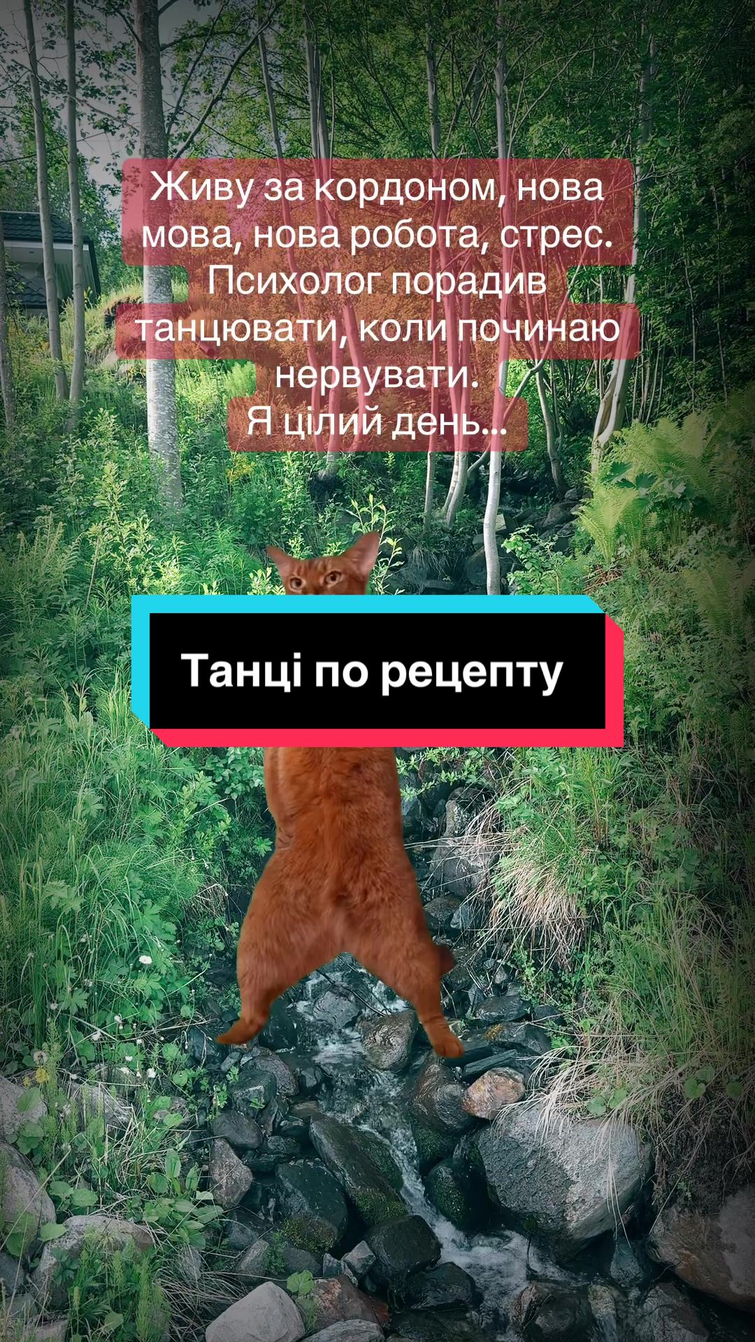 @humortiktokua