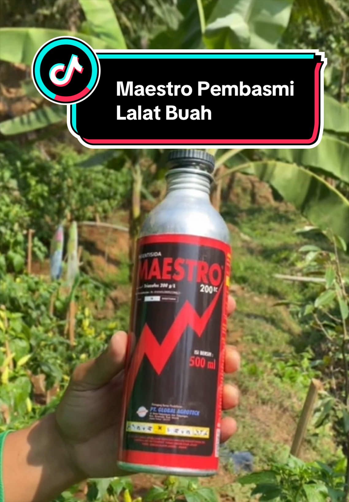 @Hendra DS