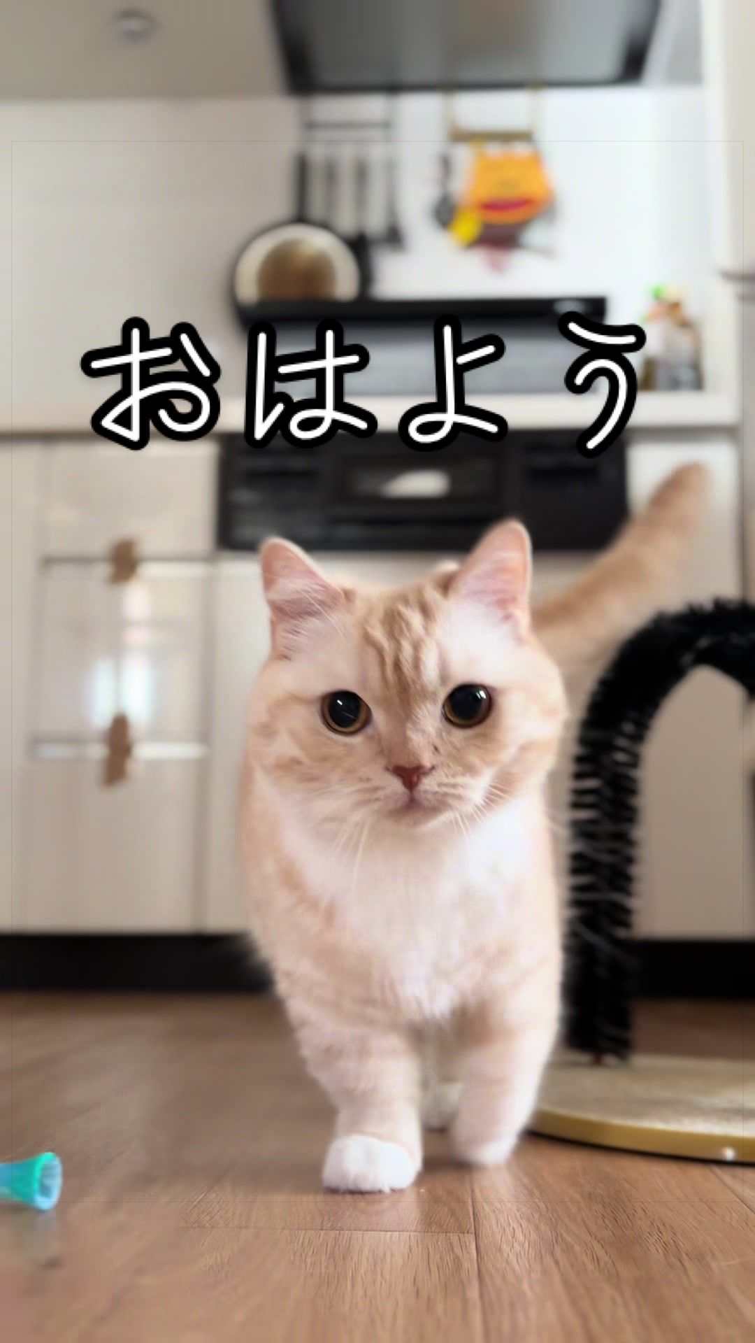 @縫くんと私