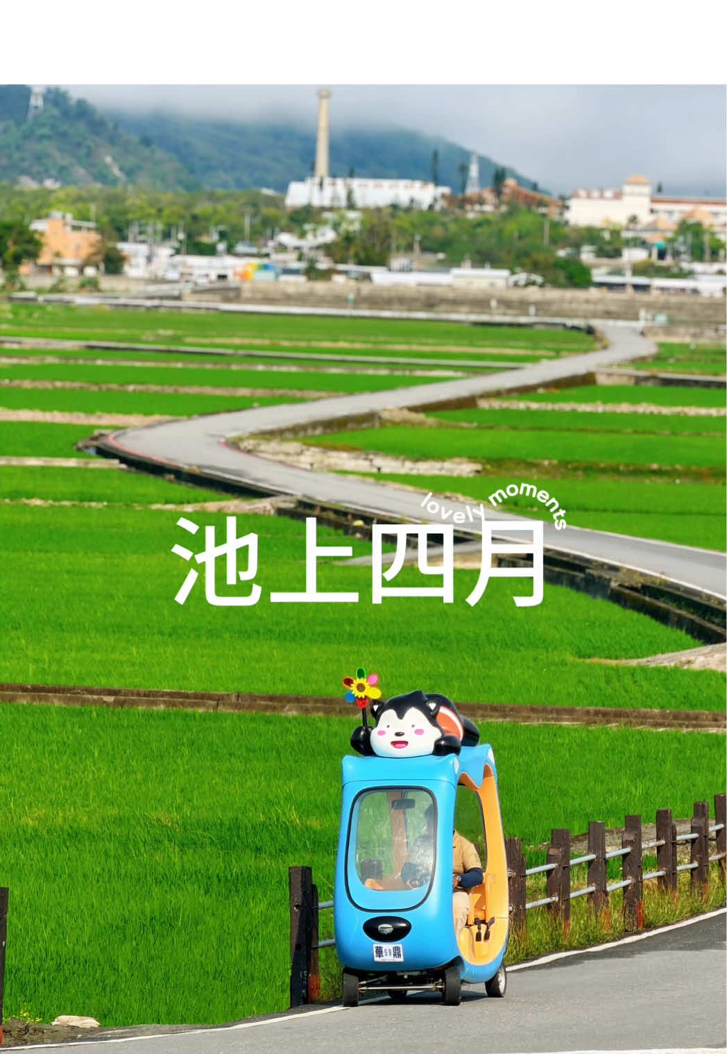 @美娴(華鼎自行車出租店)