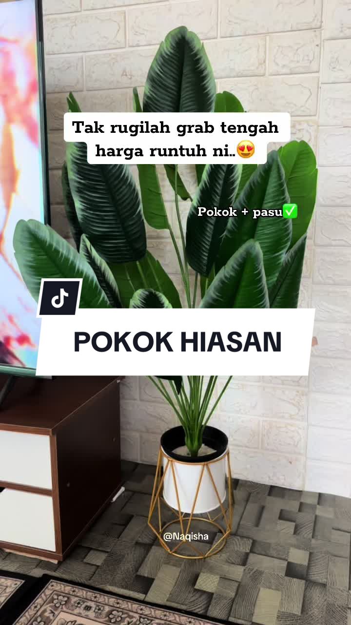 @Naqisha
