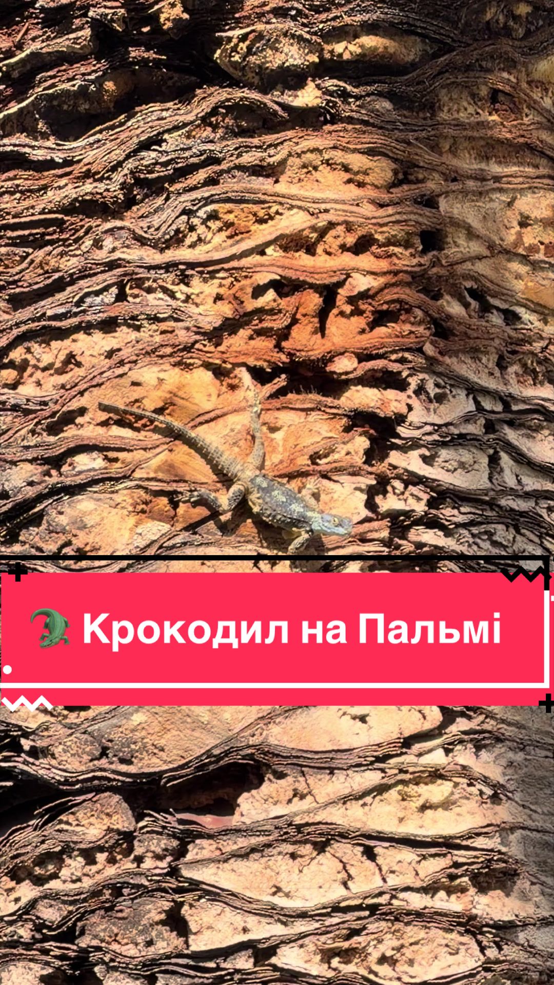 @Золотий Гектар|Насіння,Добрива