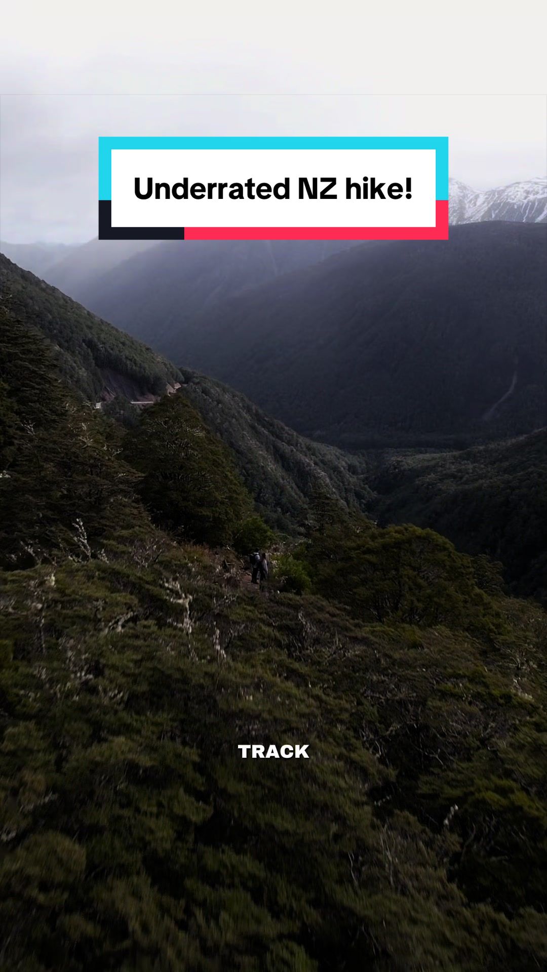 @Roady New Zealand