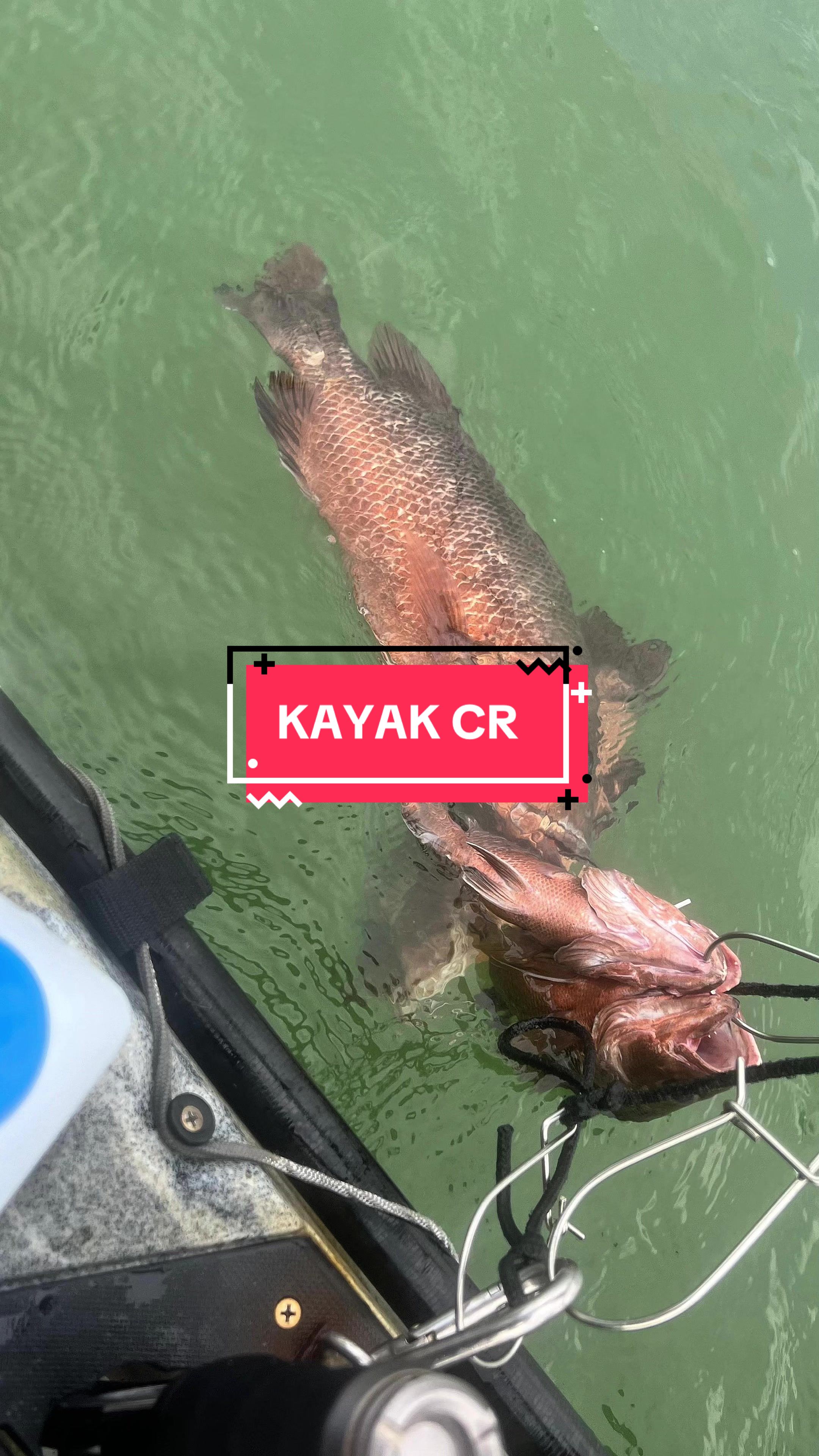 @FishwrexSG