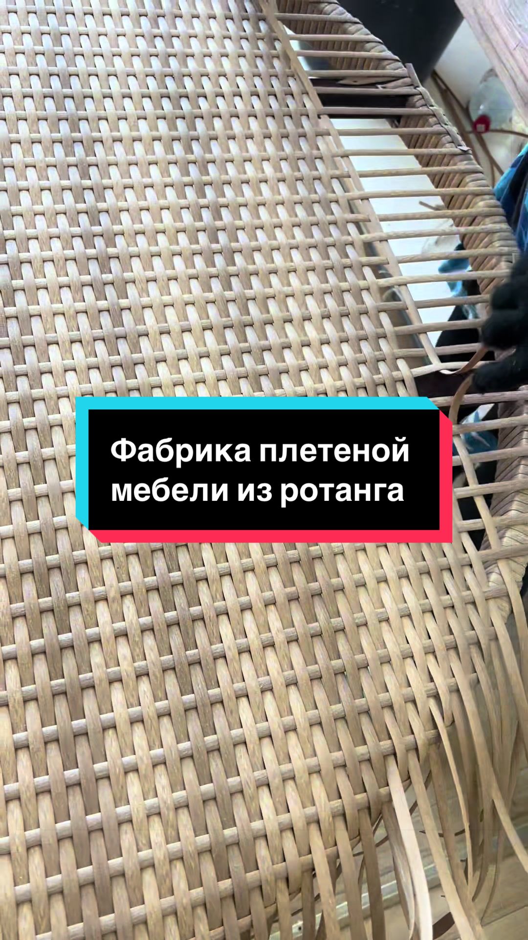 @ОЛЕЧКА ФОКСВИЧ
