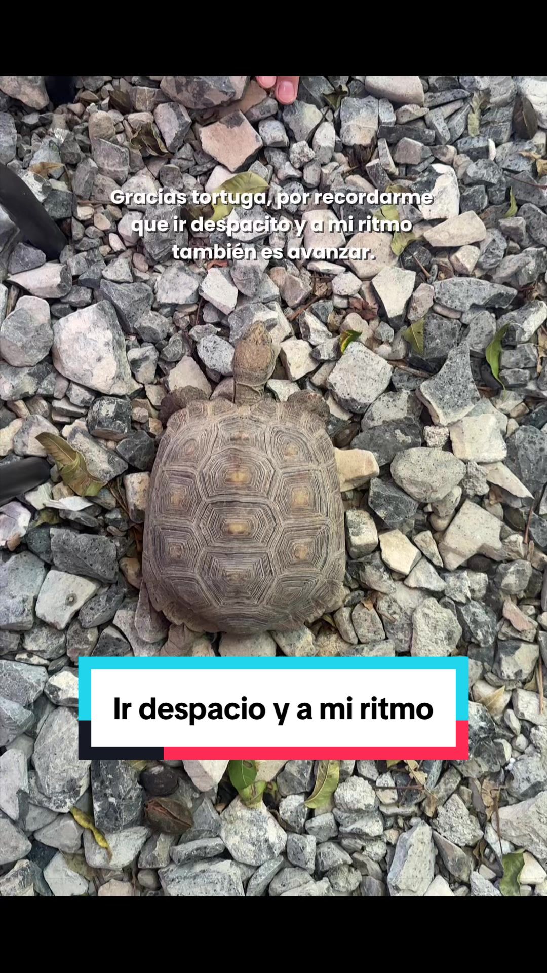 @1minutodepsicologia