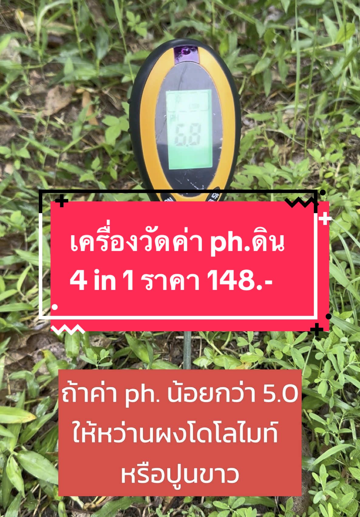 @ชาวสวนที่ชอบขายของ