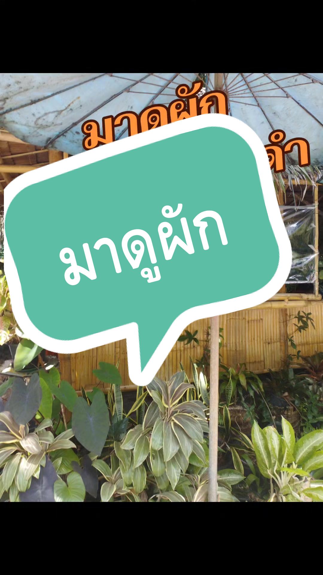 @ไปกับก้อย
