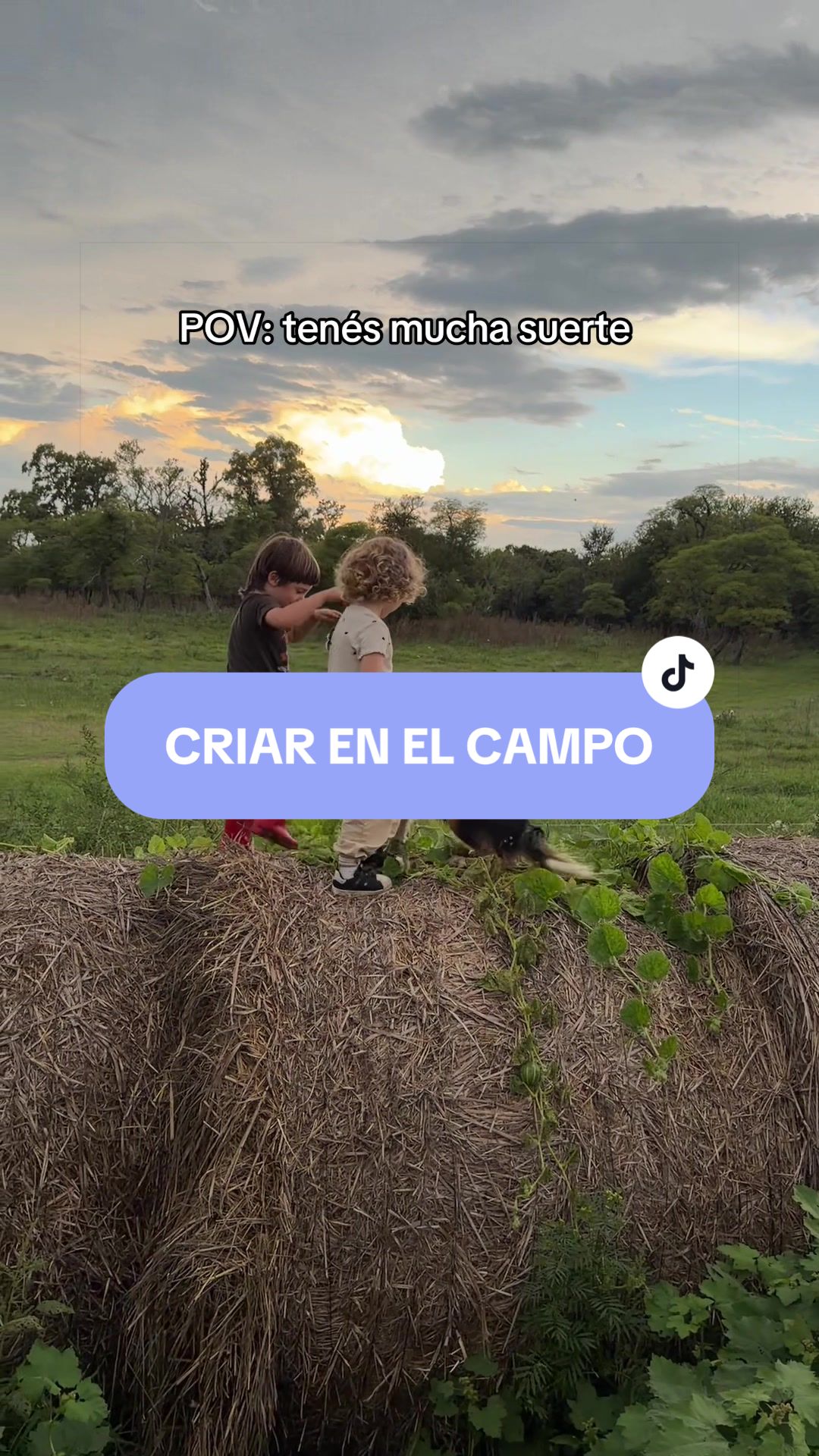 @Chechu