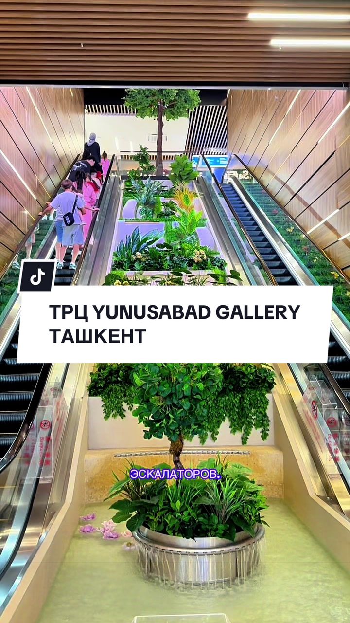 @NASI