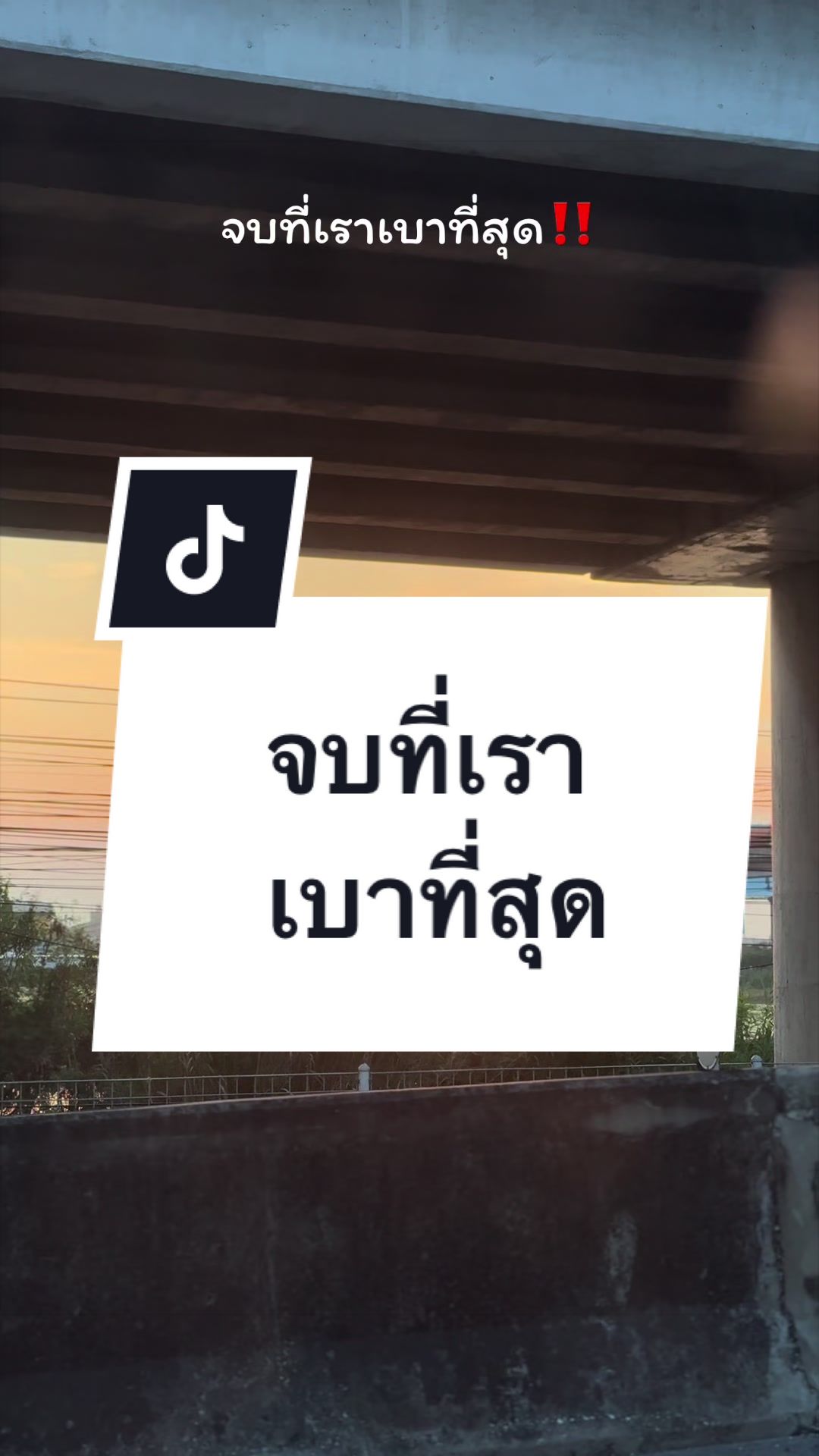 @เสื้อลูกไม้ PK Shop