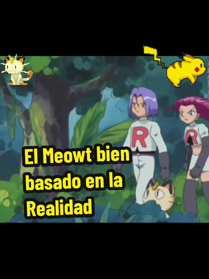 @ruso gringo