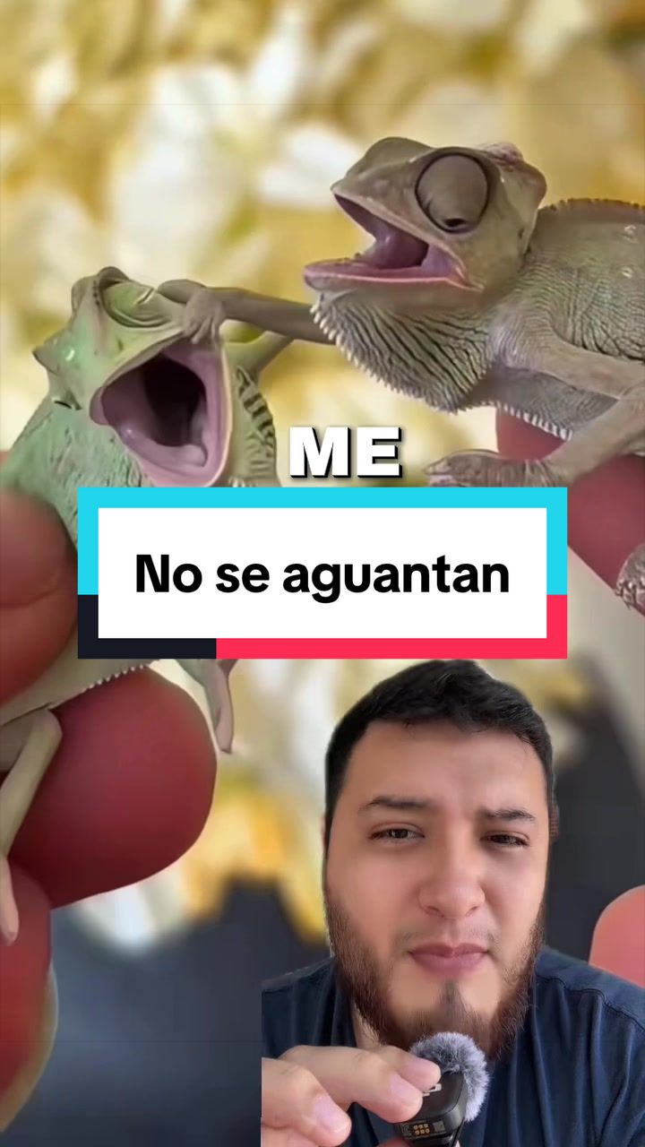 @ReptilMania