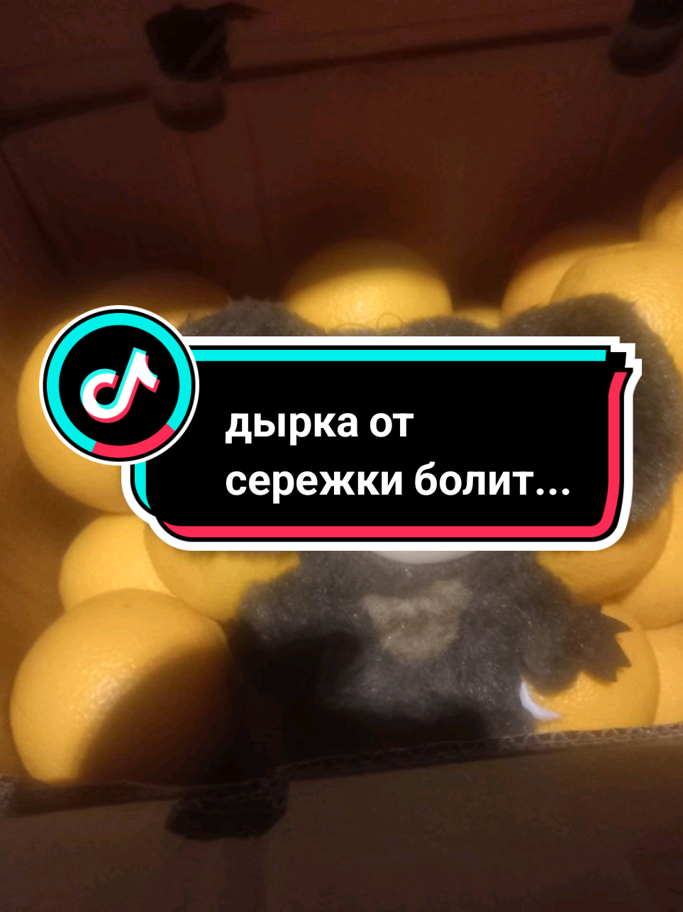 @Рыся✔️🇧🇾