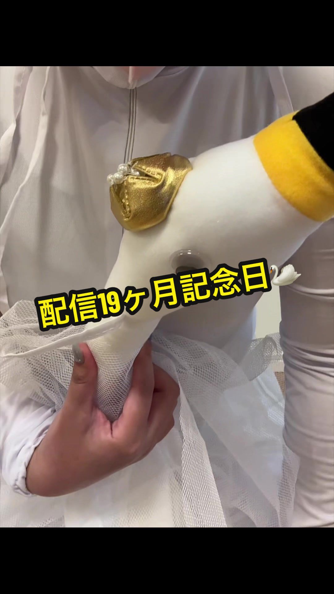 @ð°âïžïœœïŸïŸã¡ãã(ËËËÌ â°ð