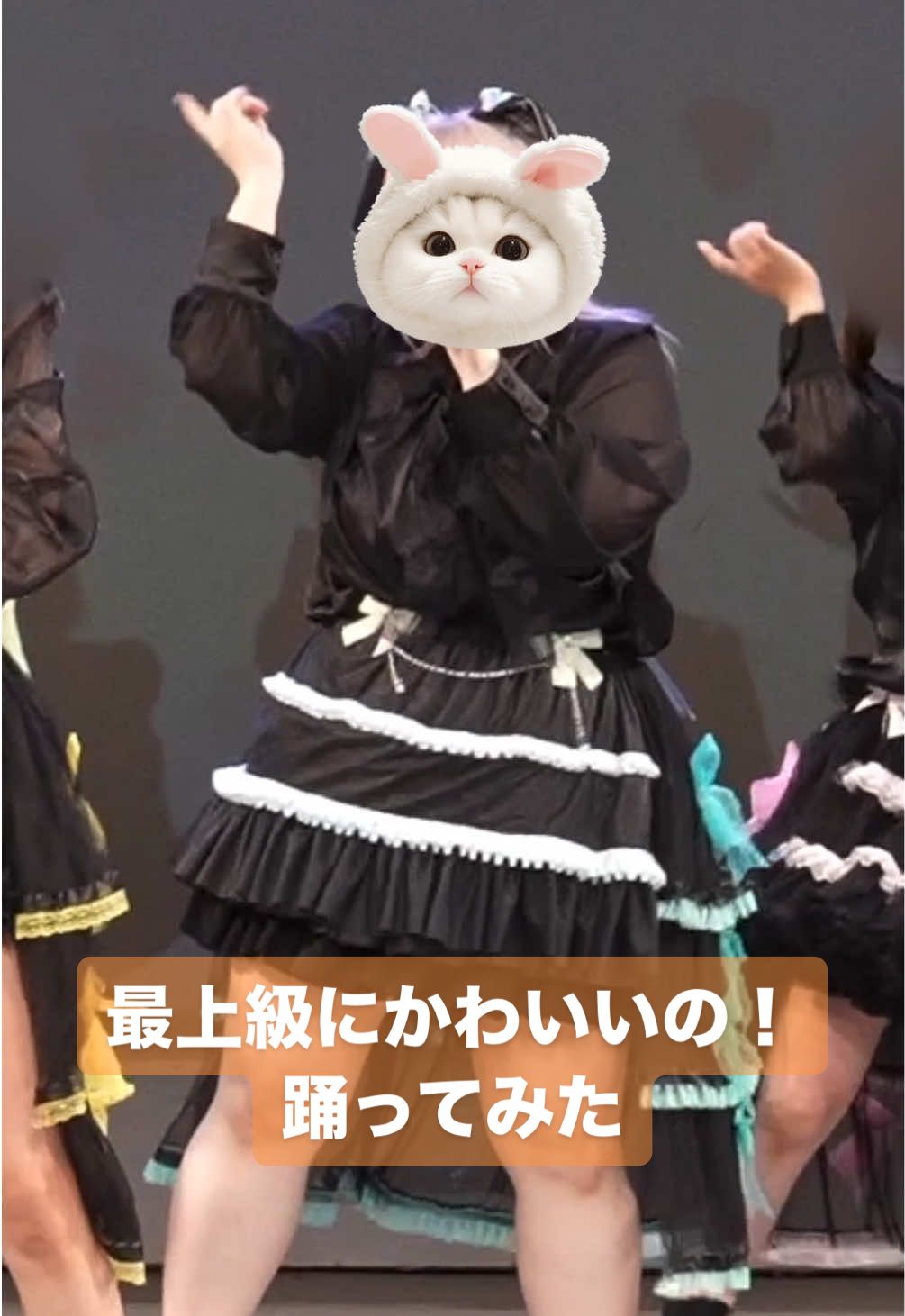@ぷにぷにたぬき