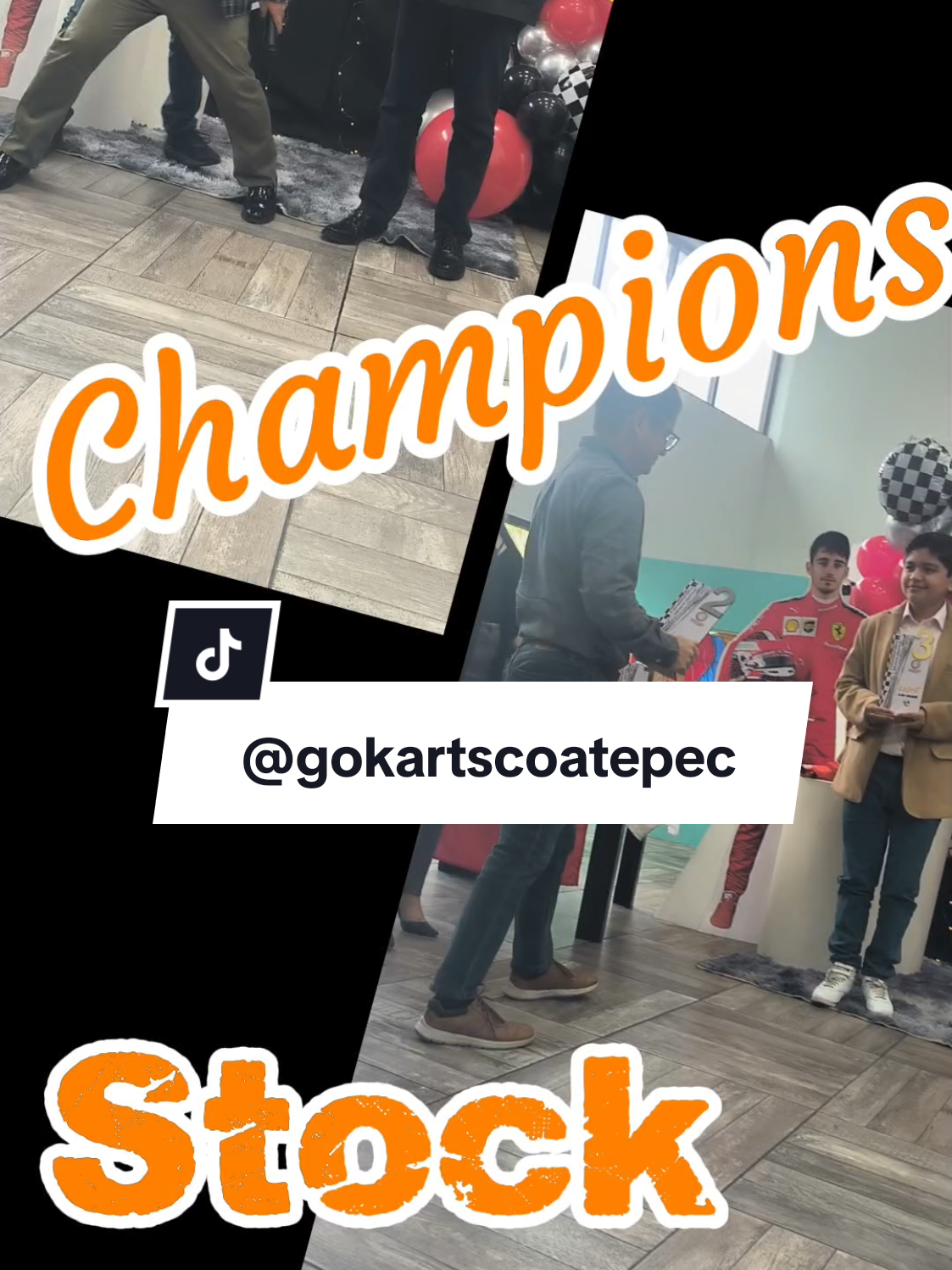 @gokartscoatepec