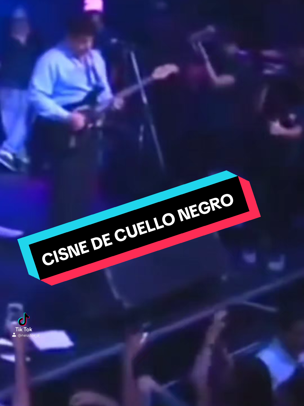 @nesstor_dj